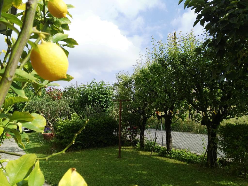 Casa Mite Appartement Pietrasanta Buitenkant foto